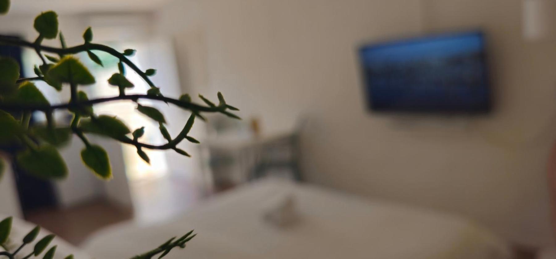 Appartement Kadenca à Umag Chambre photo